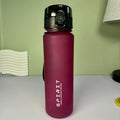 650ml Frosted Sports Water Bottle — Leak-Proof with Straw & Carry Rope